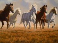 Wild Horse Range