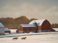 Working Dogs